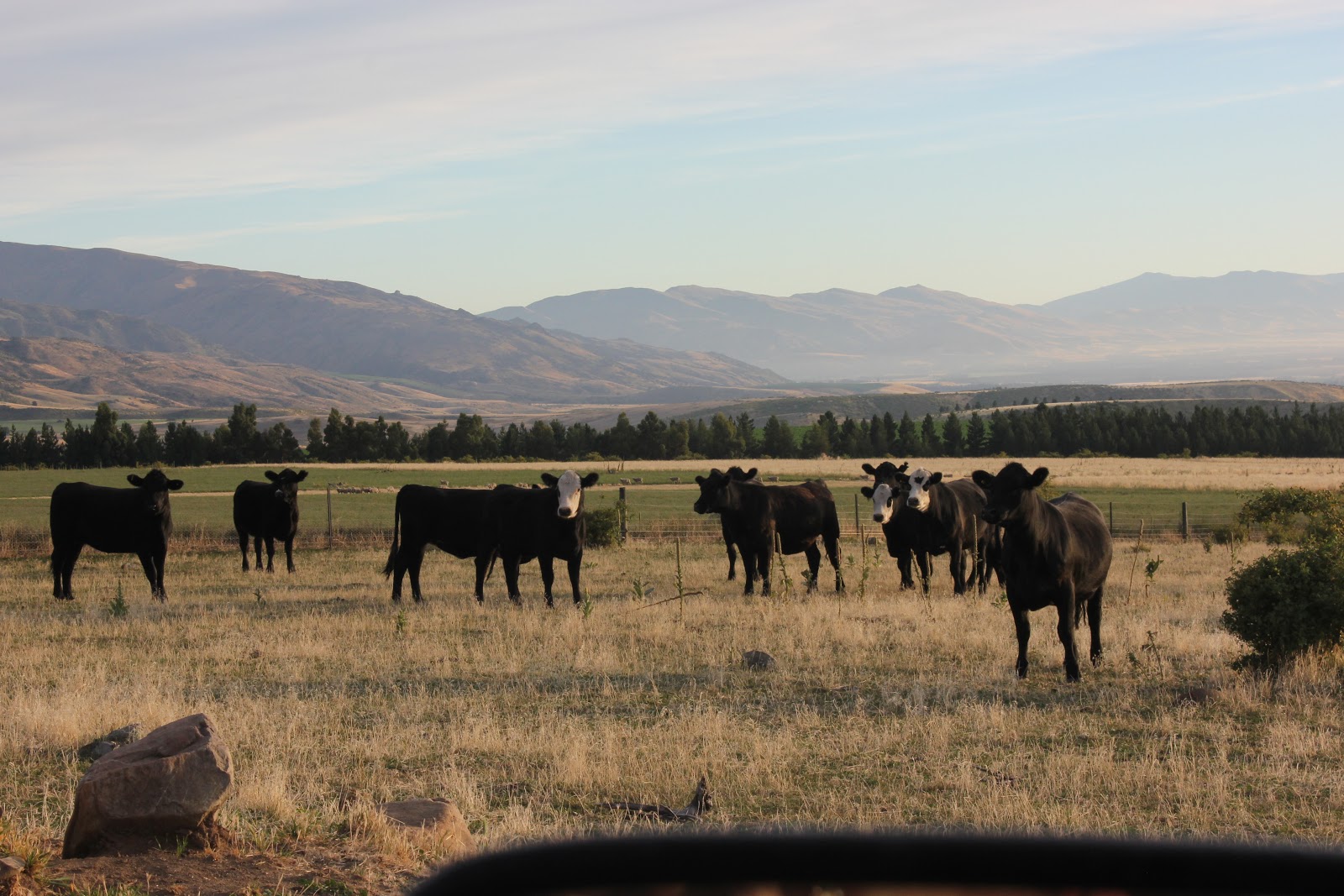 Granny's Got a Bike: Day 8: Smallburn Farm to Wanaka