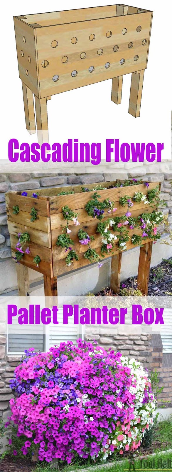 Her Tool Belt Cascading Flower pallet planter box
