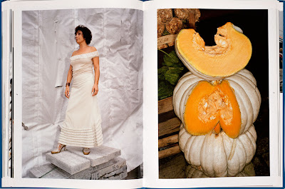 La Evolucion De La Justicia Constitucional