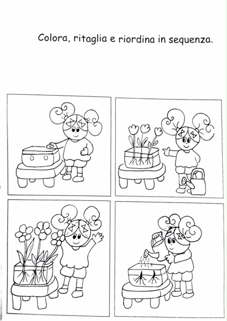 Maestra Marinica Tutto In 1