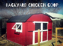 chicken coop shed metal coops backyard converting chickens sheds pride urban town producer cheap homesteading crunchy goodness defender garden coup