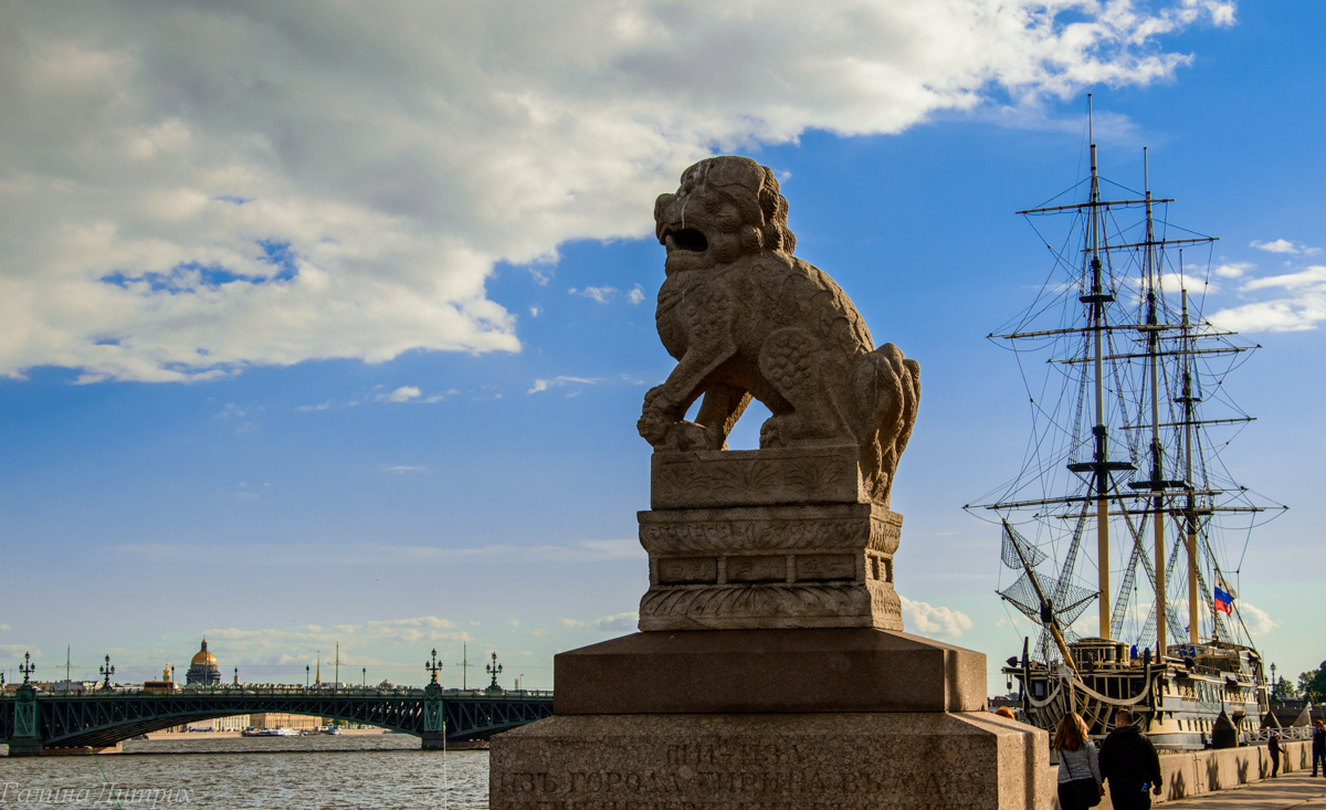 Каменный лев на стрелке васильевского острова