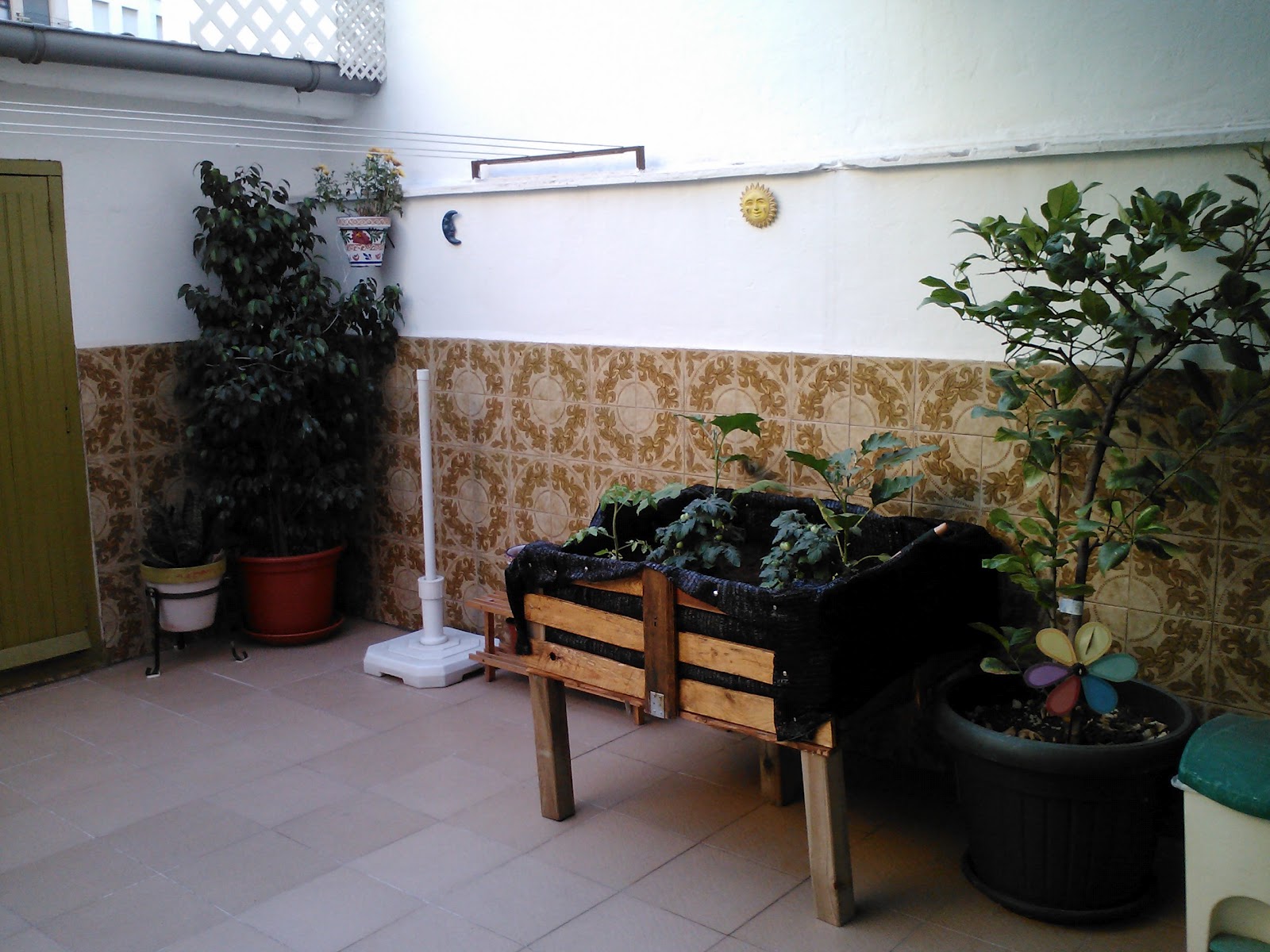 GanchiYo El patio de mi casa es particular...cuando llueve se moja