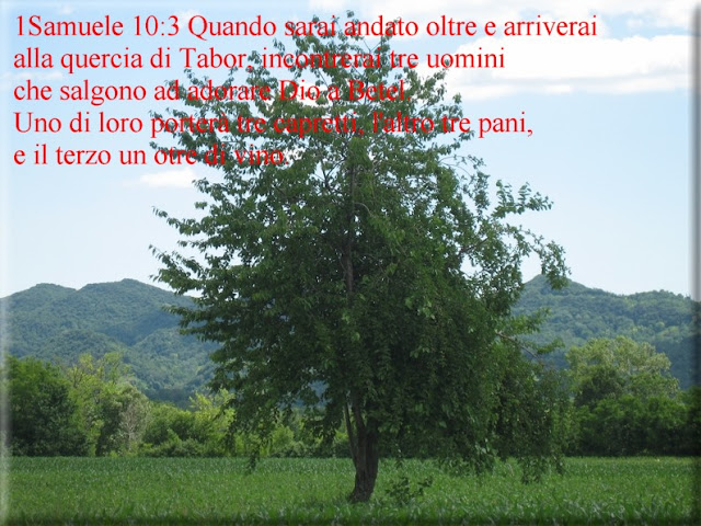 versetti biblici da versetti biblici da