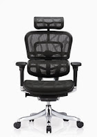 Ergo Elite Chair by Eurotech Seating