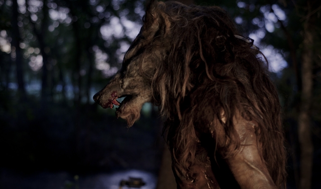Những Chiến Binh Chó Sói, Dog Soldiers