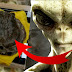 Experto OVNI asegura tener un cráneo de extraterrestre real y lo presenta al público en China