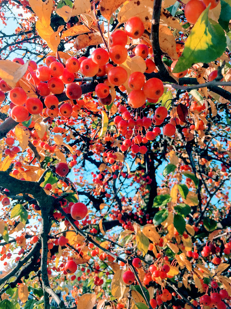 Gartenmalereien Lebenswertes Liebeswertes Verrucktes Berlin