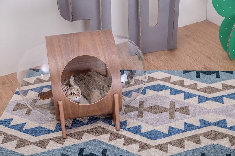 These Bizarre Cat Beds Look Like Spaceships