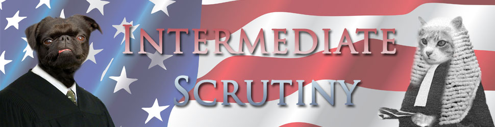 intermediate scrutiny intermediate scrutiny