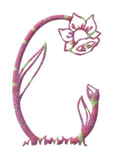 Abecedario Rosa Hecho con Flores. Pink Alphabet done with Flowers.