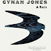 Elsinore | "A Baía" de Cynan Jones 