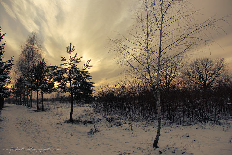 zima, śnieg, winter, anjafotografia