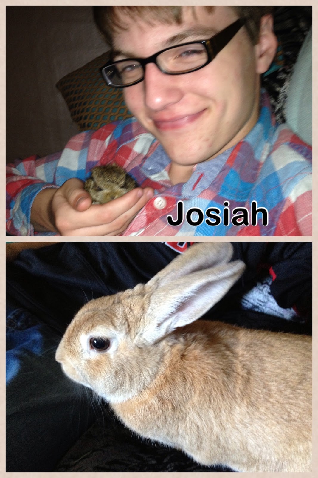 My Ravings! The Bunny, The Bunny, Oh I love The Bunny!