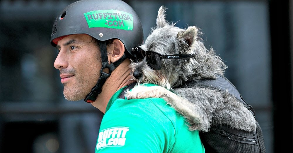 ruffit dog carrier