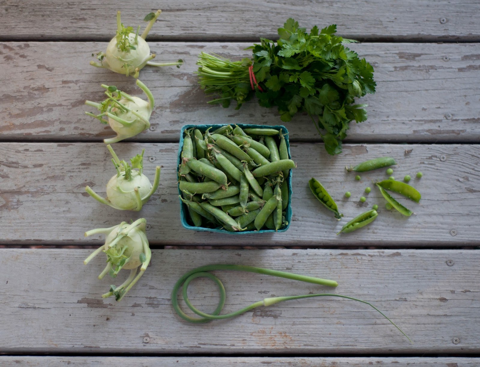 Robson's Farm June Vegetable Shoot