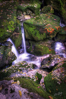 Doğada Şelale Manzarası Duvar Kağıtları, HD Wallpaper, Wallpaper, Manzara, Doğa, Deniz, Çamlık, Orman, Yeşillik, Yayla, iphone x duvar kağıdı hd,iphone x duvar kağıtları,15 temmuz duvar kağıdı,göztepe duvar kağıdı,çukur duvar kağıdı