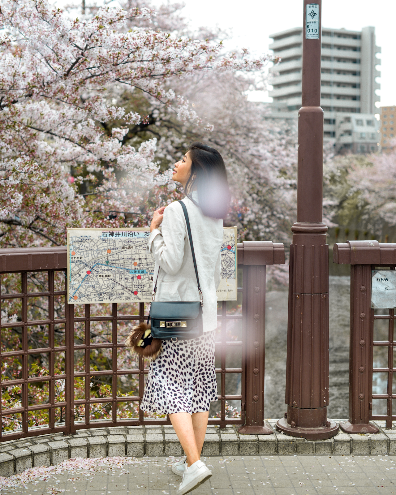 Cherry blossoms viewing locally, neighborhood cherry blossom spots, Itabashi Tokyo, personal style blog FOREVERVANNY