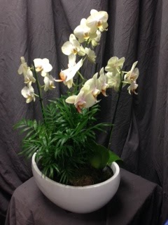 Marlborough, MA; interior office flower rotation; interior plant service;