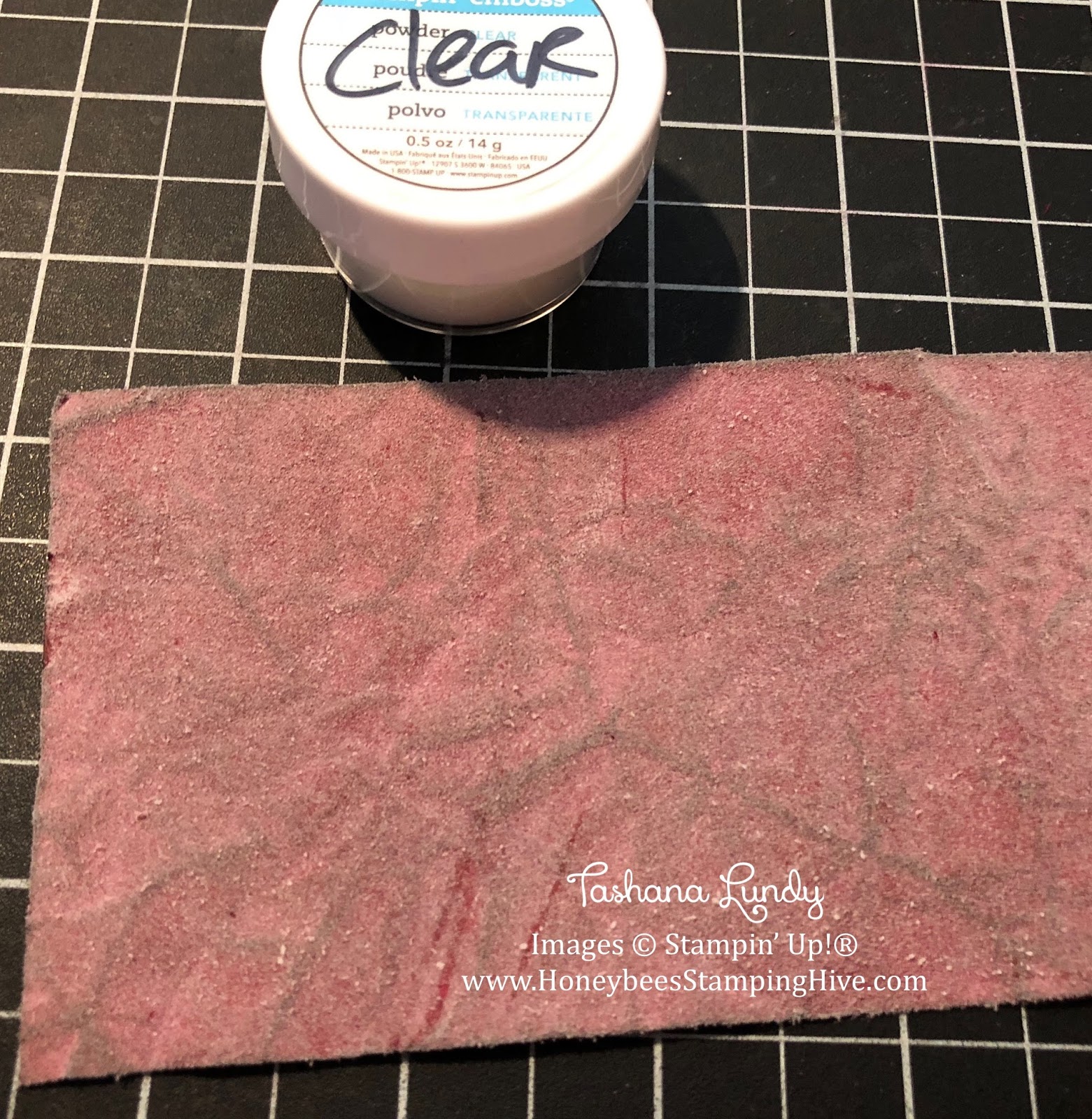 ` Faux Leather 3 Ways with Heat Embossing SBTD March Blog Hop