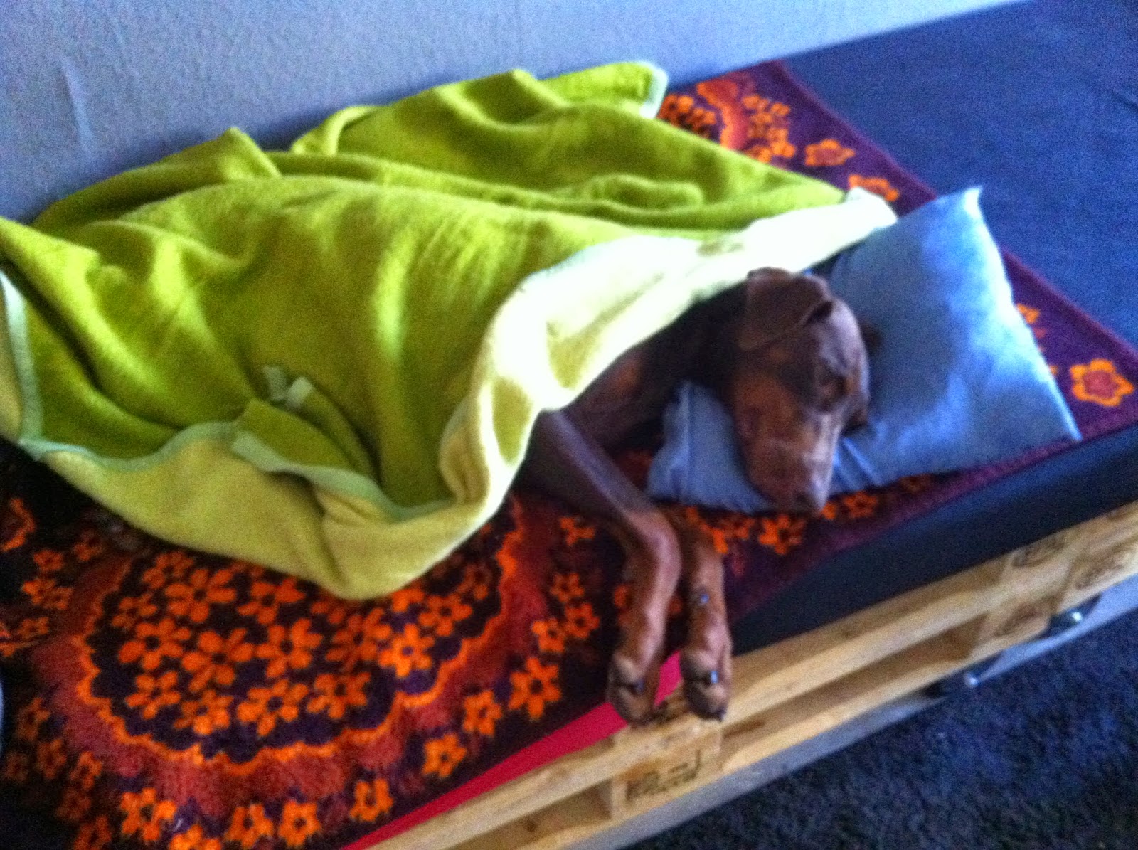 Nathans Wachter Nicht Die Biene Maja