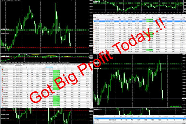 Forex Crazy Profit + Bimbingan
