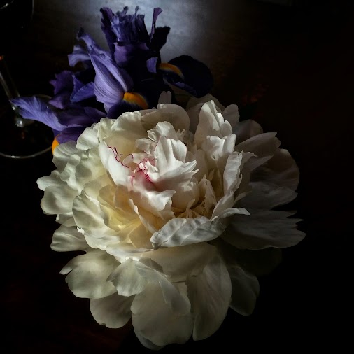 posted image