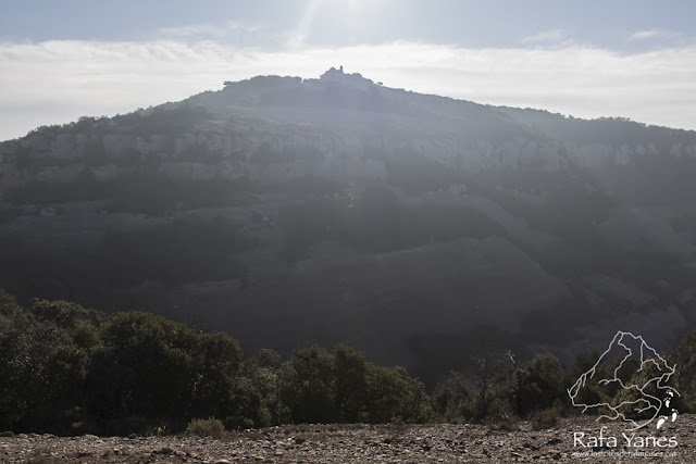 Ruta: Montcau (1.057 m) y La Mola (1.102 m). Dos de los míticos. (Els 100 Cims)