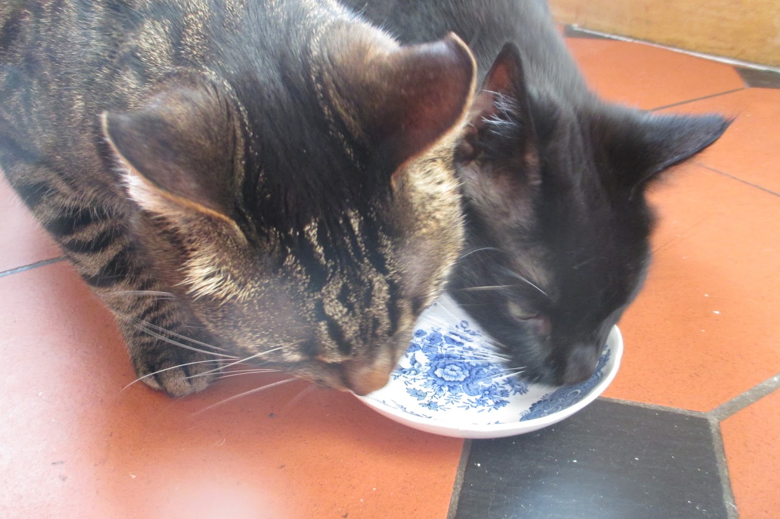 Susie and the Pencils Fictional Food Adventure Making Calf's Foot