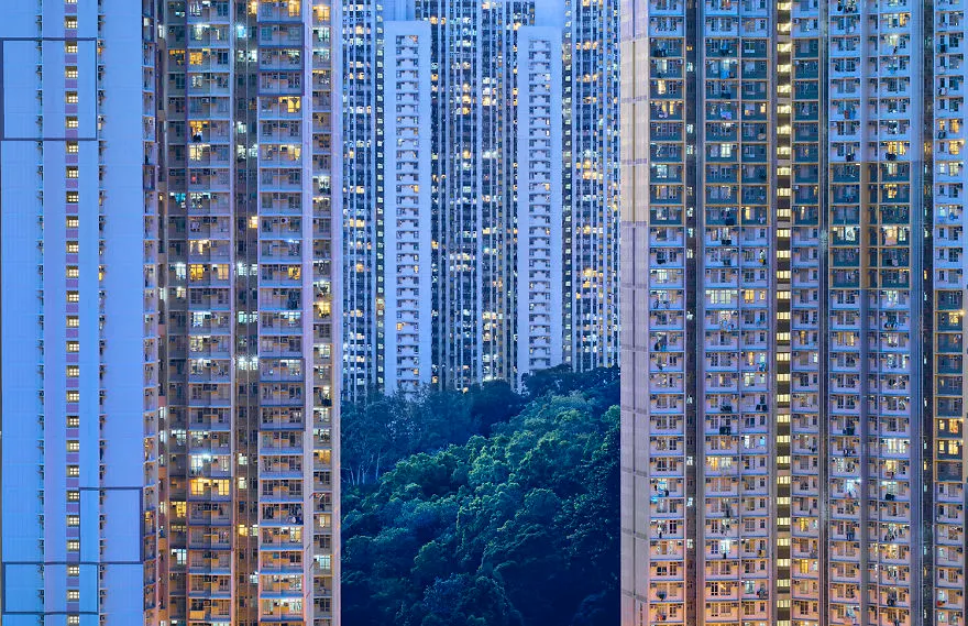 Nature in Hong Kong