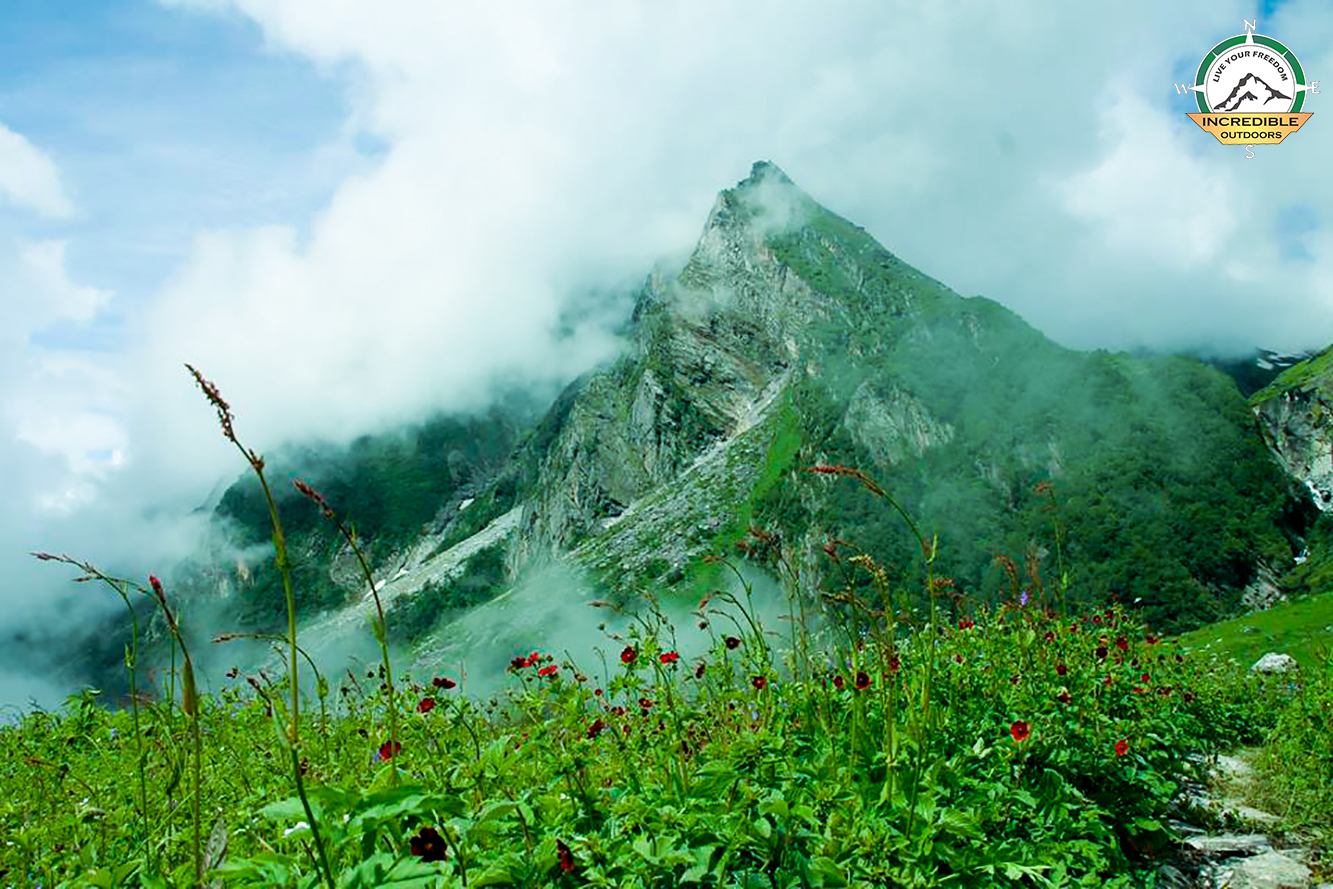 Incredible Outdoors Rishikesh Trek to the Valley of flowers