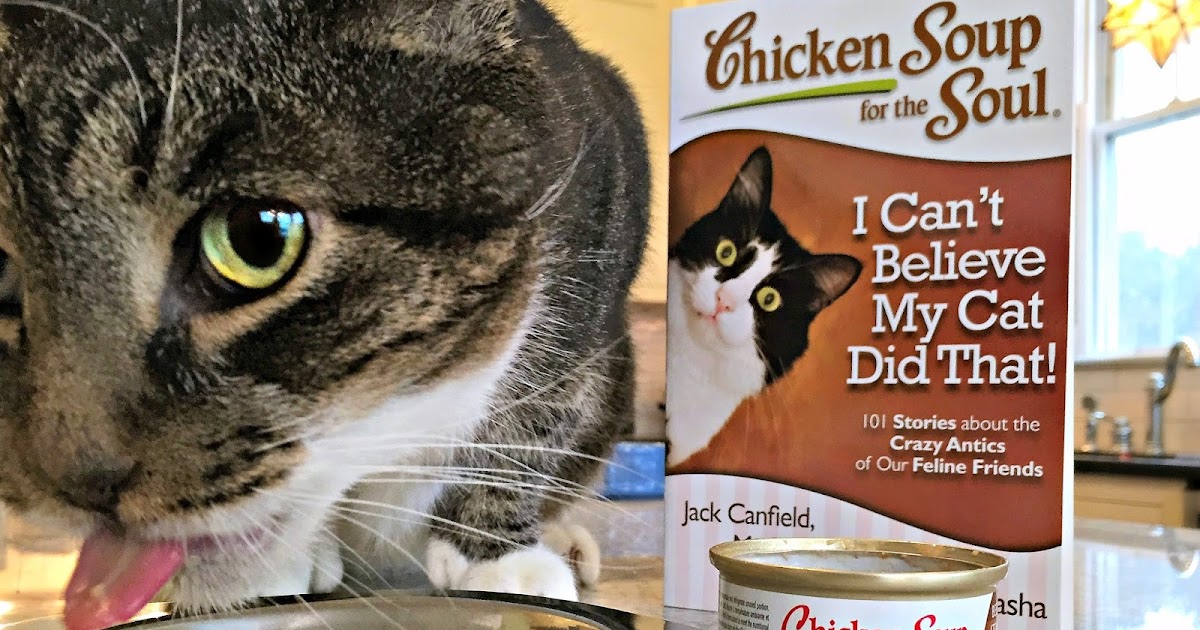 Beef Dog Food Recepies Yeast Free Beef Dog Food Recepies Yeast Free