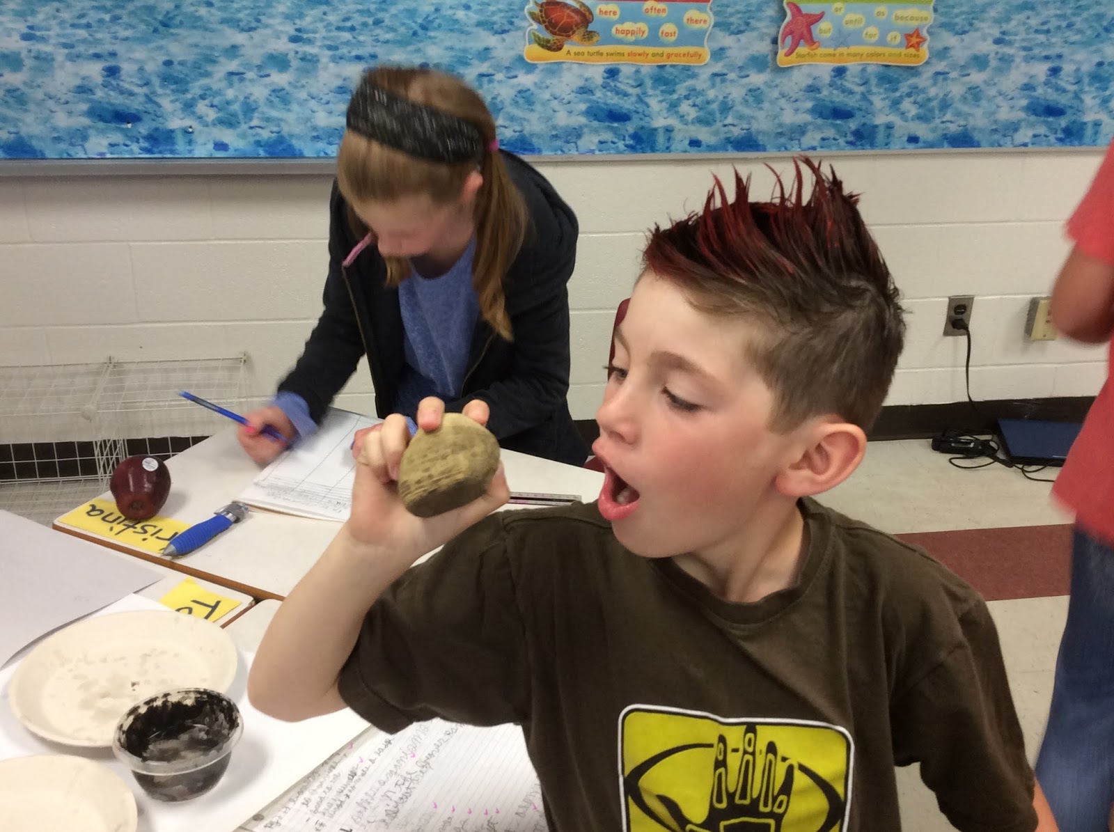 Students Examining Rocks Miss.Sturgeon's Class Blog. Check it weekly!: June 2016