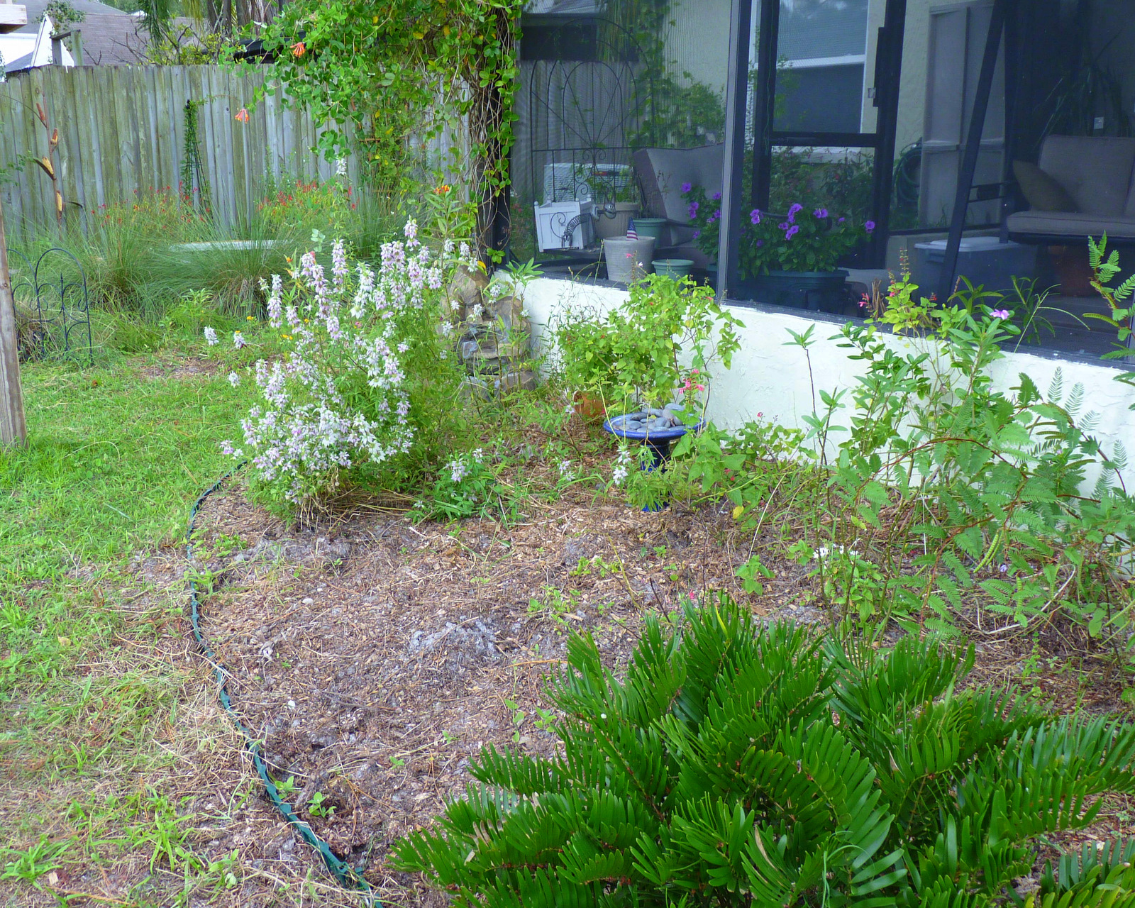 My Florida Backyard: September 2011