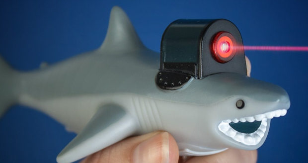Shark With Frikin Laser Beam