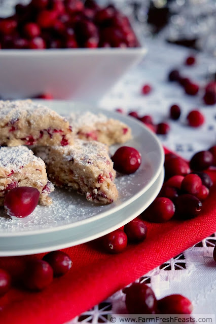 A recipe for tiny tender scones stuffed with chopped fresh cranberries and brightened with orange zest. Make these scones bite size to serve at holiday brunches or coffees.