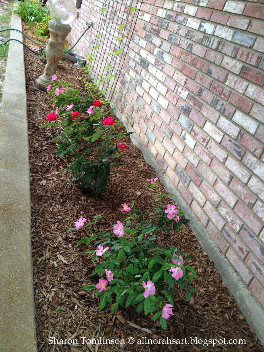Roses by Sharon Tomlinson