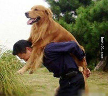 Trai tim tan chay voi anh xuc dong ve 