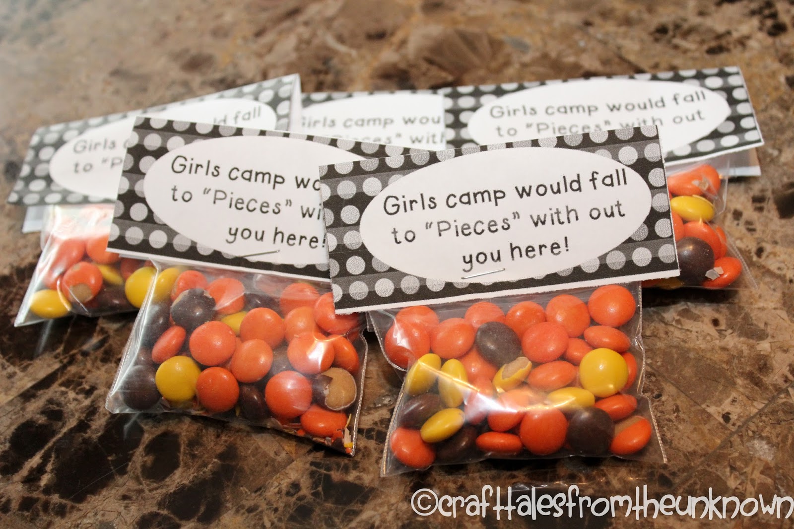 Creations Pillow Treats for Girls Camp