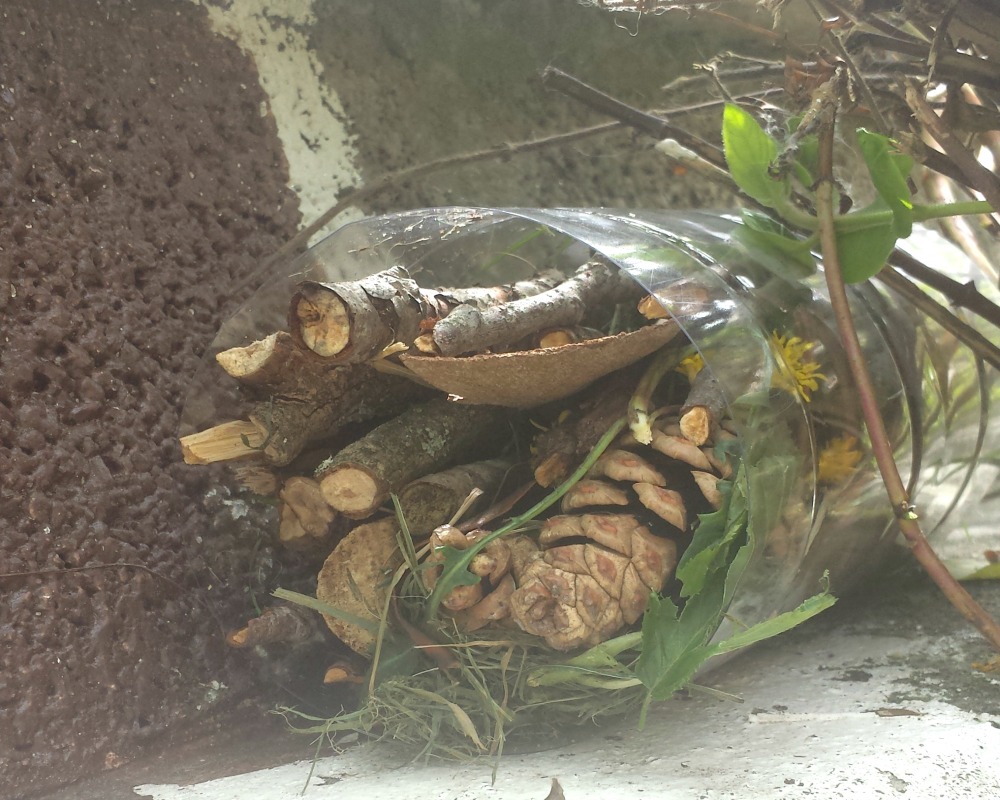 Homemade Bug Hotel Kids Craft Whimsical Mumblings