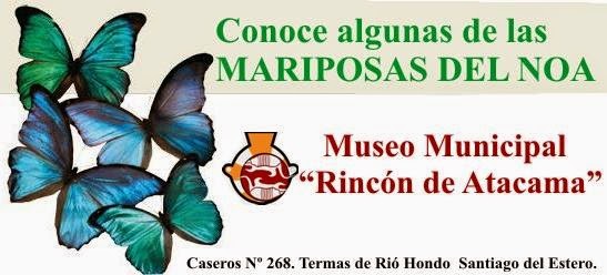 Conoce las Mariposas del NOA Argentino.