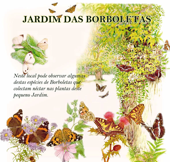 O TAPETE COLORIDO O JARDIM DAS BORBOLETAS O TAPETE COLORIDO O JARDIM DAS BORBOLETAS
