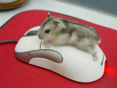 Funny%2BMouse%2BOperating%2BMouse.jpg