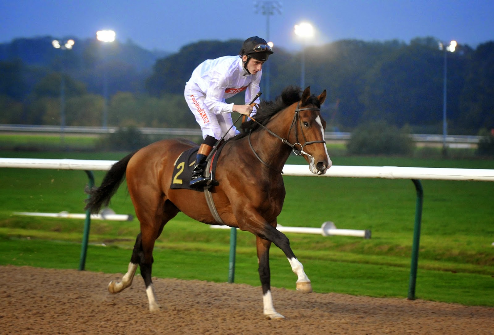 Wolverhampton Racecourse: All-Weather Champs Highlights