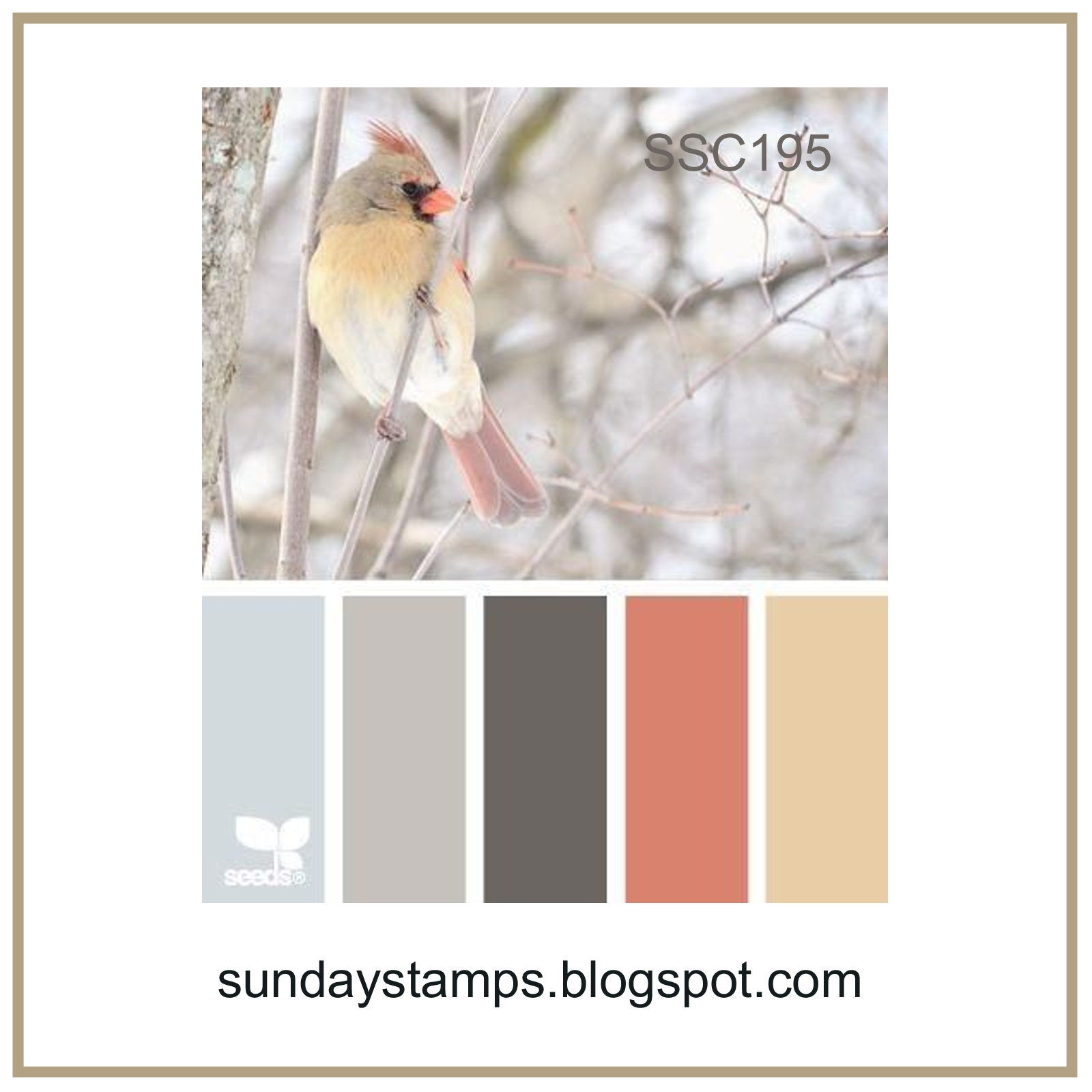 Зима цветовая схема