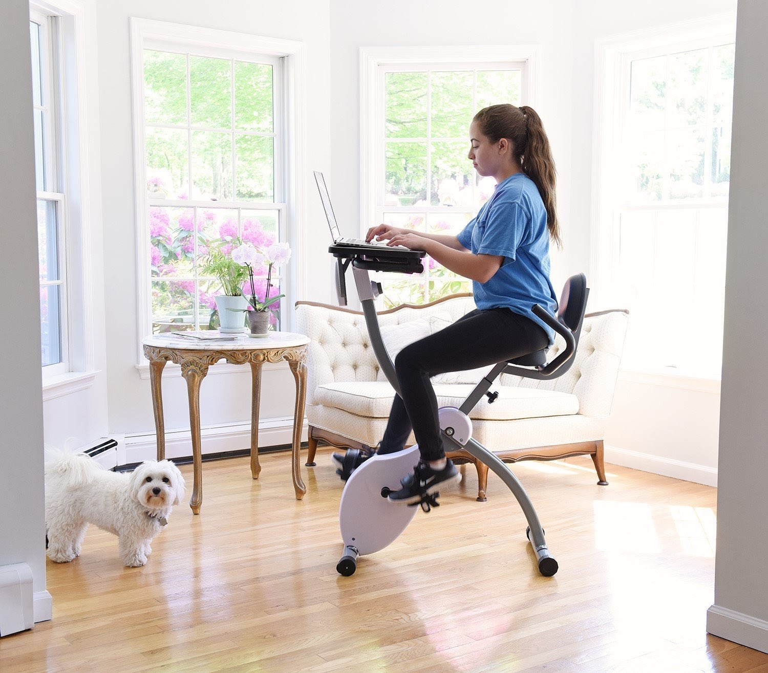 Exercise Bike Zone Ivation Ivamfebwd Folding Exercise Bike With