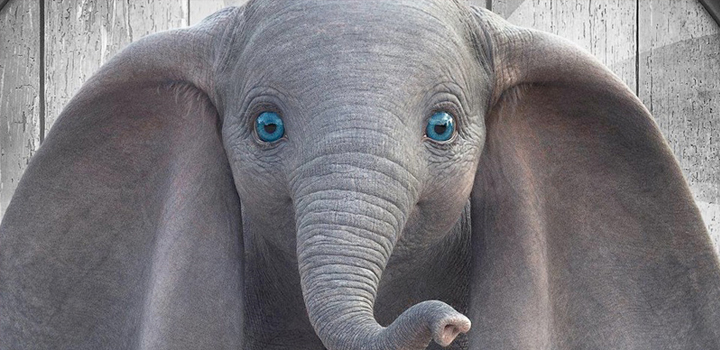 Dumbo 2019 Pôster Recorte Dumbo 2019 Pôster Recorte