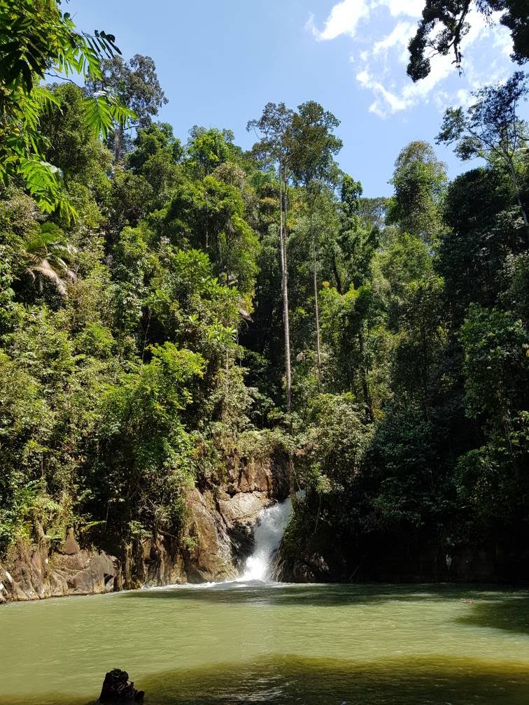 Lata hammer bentong