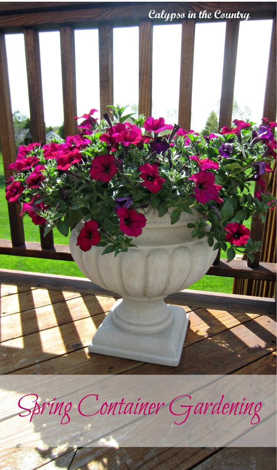 Spring Container Gardening on the deck