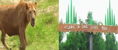 Images of Bangabandhu Safari Park Images of Bangabandhu Safari Park